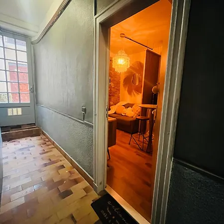 Appartement Cosy En Hypercentre - Parking Toulouse Exterior photo